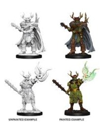 73853 male half-orc druid